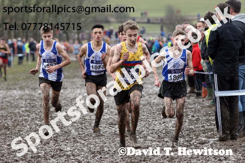 Boys under-15s 2018 British Inter Counties Cross Country Champs., Prestwold Hall, Loughborough. Photo: David T. Hewitson/Sports for All Pics